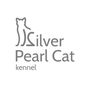Partner silver pearl